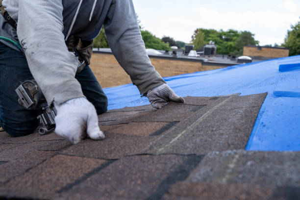 Quick and Trustworthy Emergency Roof Repair Services in Allendale, CA